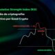 Como aceitar pagamentos em Bitcoin na sua loja: guia completo 2025 4 Como usar o indicador RSI: Guia completo 2025