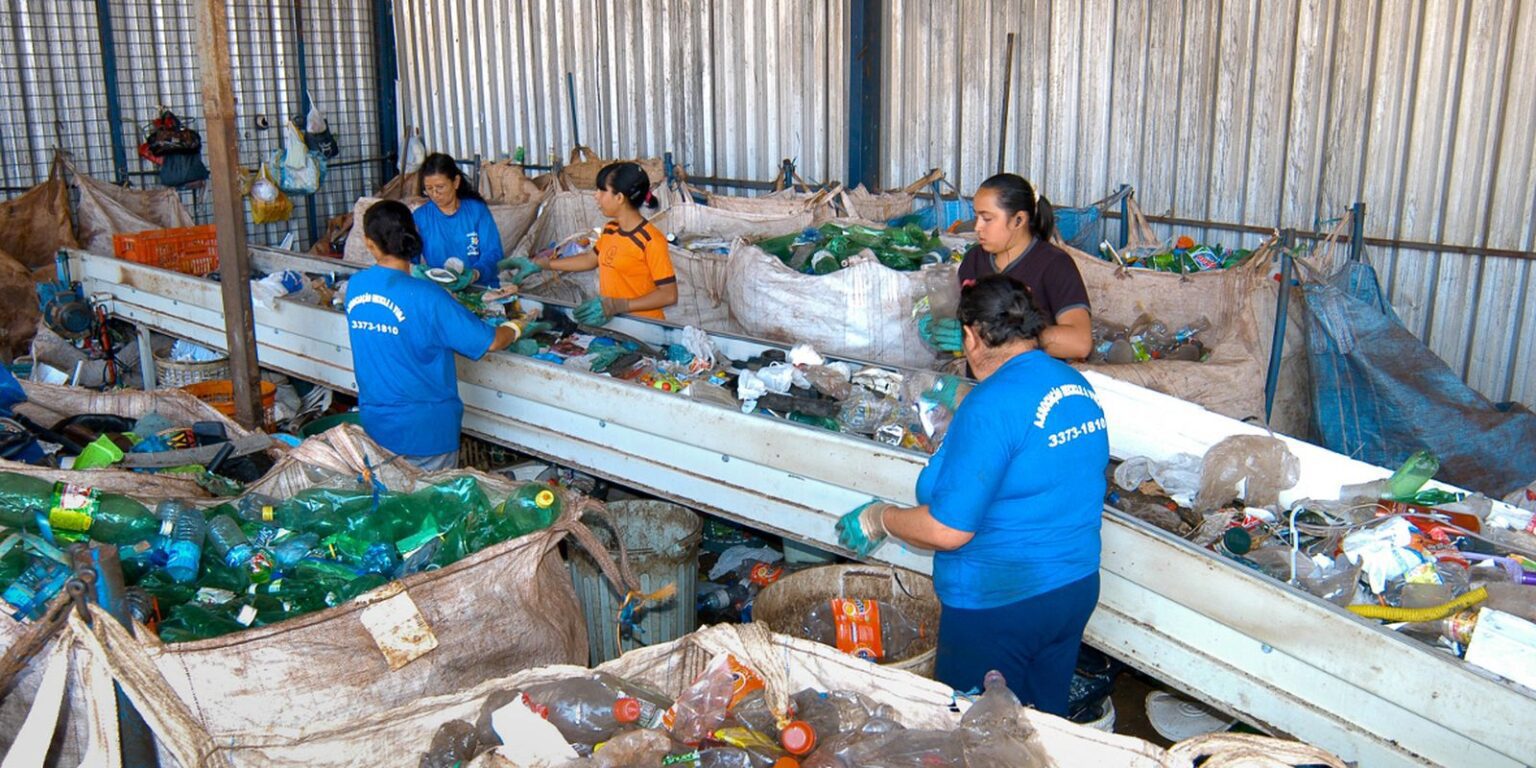 coopcatadoresdfrecicleavida 1