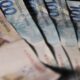 Fundos de Pensão Proibidos de Investir em Criptoativos: O Que Você Precisa Saber 1 Haddad afirma que acredita em crescimento econômico superior a 2%