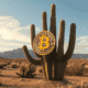 Criptomoeda salta mais de 25% após parceria entre Trump Media com Crypto.com — e o possível lançamento de um novo ETF 2 “Seca no mercado de criptomoedas: 3 indicadores e um sinal positivo para a liquidez”