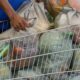 48% das Empresas Planejam Contratações no 2º Trimestre 2 Aumento do Preço da Cesta Básica em 14 Capitais do Brasil em Março