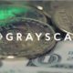 Bitcoin Atinge US$ 82 Mil com Alívio na Guerra Tarifária dos EUA e Criptomoedas Recuperam Preços 1 Impacto das Políticas Tarifárias de Trump no Bitcoin Segundo Gestora do Terceiro Maior ETF de BTC