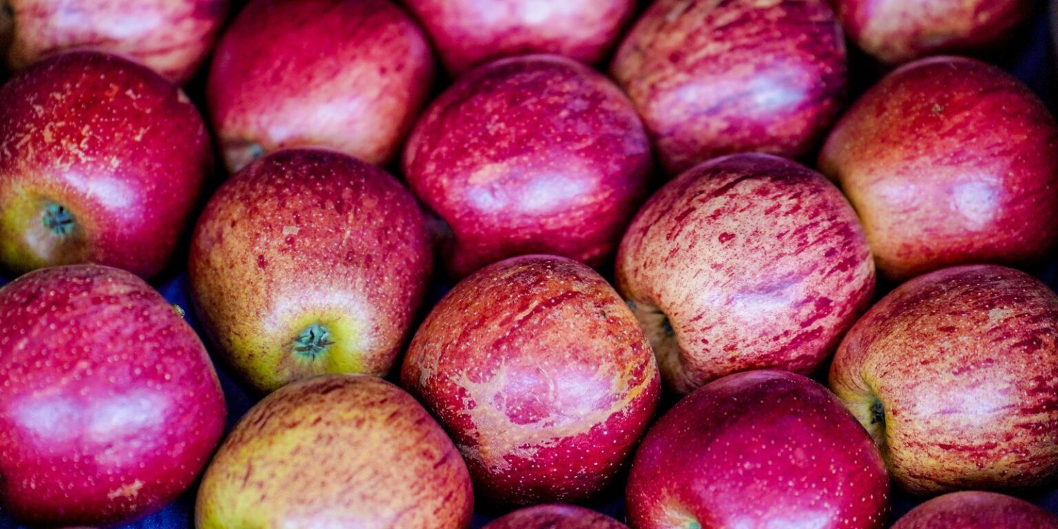 Crescimento de 26% na Exportação de Frutas no Primeiro Trimestre
