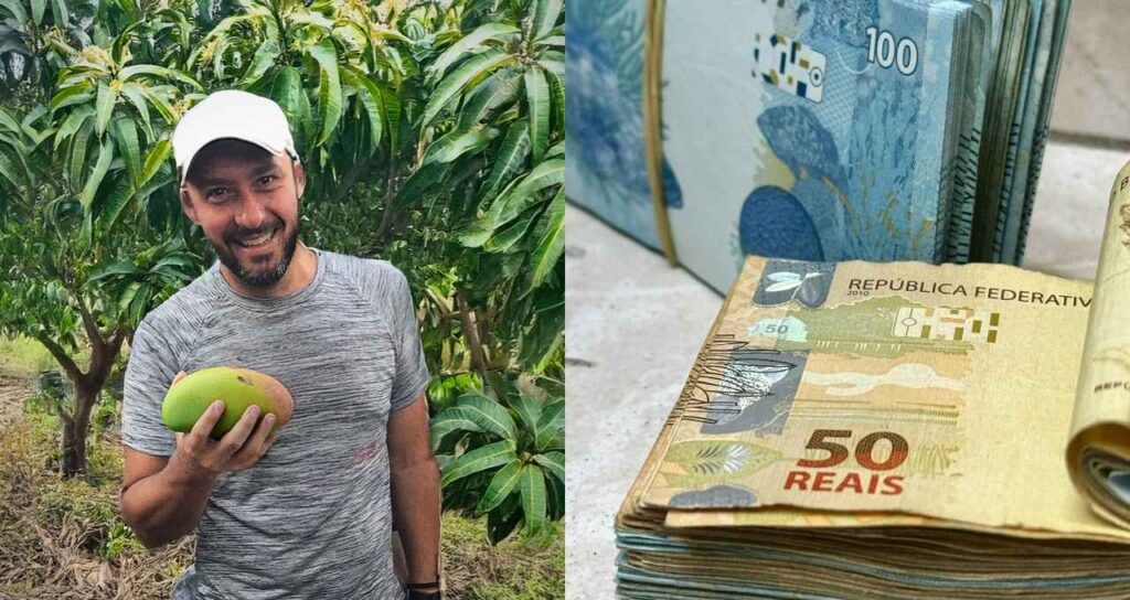 Rei da Manga Utiliza Estratégia Gradiente Linear para Lucrar Além do Hortifruti: Entenda Como Funciona