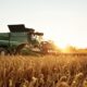 Itaú Mantém Projeção de Selic Estável em 14,75% Diante de Incertezas e Ciclo Avançado 2 Participação do Agronegócio no PIB Brasileiro Pode Atingir Maior Nível em 22 Anos em 2025, Segundo Previsão da CNA