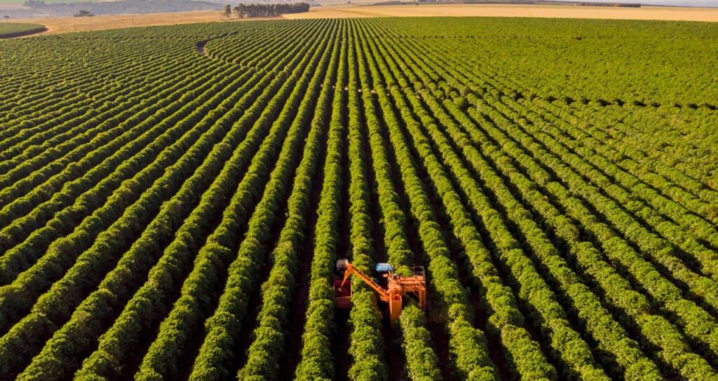 Plano Safra 2025/2026: Governo Anuncia R$ 516,2 Bilhões para Agricultura Empresarial