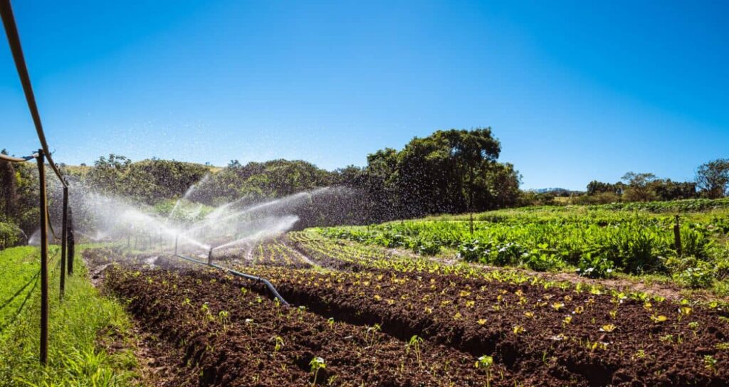 Plano Safra 2025/2026 destina R$ 89 bilhões para agricultura familiar, um aumento de 17% Plano Safra 2025/2026 destina R$ 89 bilhões para agricultura familiar, um aumento de 17%