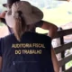 Crescimento do Comércio em Fevereiro Atinge Recorde Histórico com Alta de 0,5% 10 Lista Suja do Trabalho Escravo Atualizada com 155 Novos Empregadores Incluídos