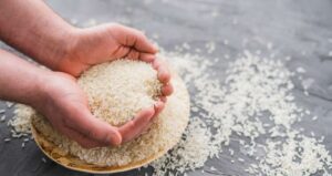 Ministro da Agricultura do Japão Renuncia Devido a Comentários Sobre Preço do Arroz