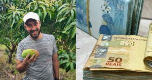 Rei da Manga Utiliza Estratégia Gradiente Linear para Lucrar Além do Hortifruti: Entenda Como Funciona