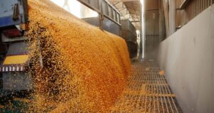 Ministério da Agricultura adota postura pragmática e aguarda data para visita de secretária dos EUA