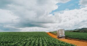 Aumento de 9,1% nas Entregas de Fertilizantes no Brasil no Primeiro Trimestre Durante Ano de Safra Recorde, Segundo Anda