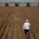 Governo Impacta Setor Agrícola com Medidas no Plano Safra e Piora Condições de Crédito para LCA 3 Bancada Ruralista Critica Tributação de LCA por Impactar Alimentos e Plano Safra