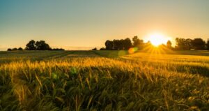 Análise Completa: Fatores que Podem Movimentar o Agronegócio Brasileiro ‘Da Porteira para Fora’