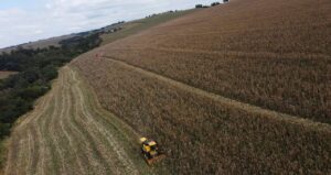 Inadimplência do Produtor Rural no Brasil Atinge 7,9% no Primeiro Trimestre, Segundo Serasa
