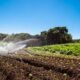 Plano Safra 2025/2026: Governo Anuncia R$ 516,2 Bilhões para Agricultura Empresarial 2 Plano Safra 2025/2026 destina R$ 89 bilhões para agricultura familiar, um aumento de 17%