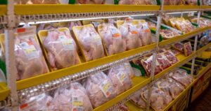 Ministério da Agricultura Anuncia que 7 Países Removem Restrições à Exportação de Carne de Aves do Brasil