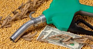Soja e Biodiesel Representarão 6,4% do PIB Brasileiro em 2025, Segundo Cepea e Abiove